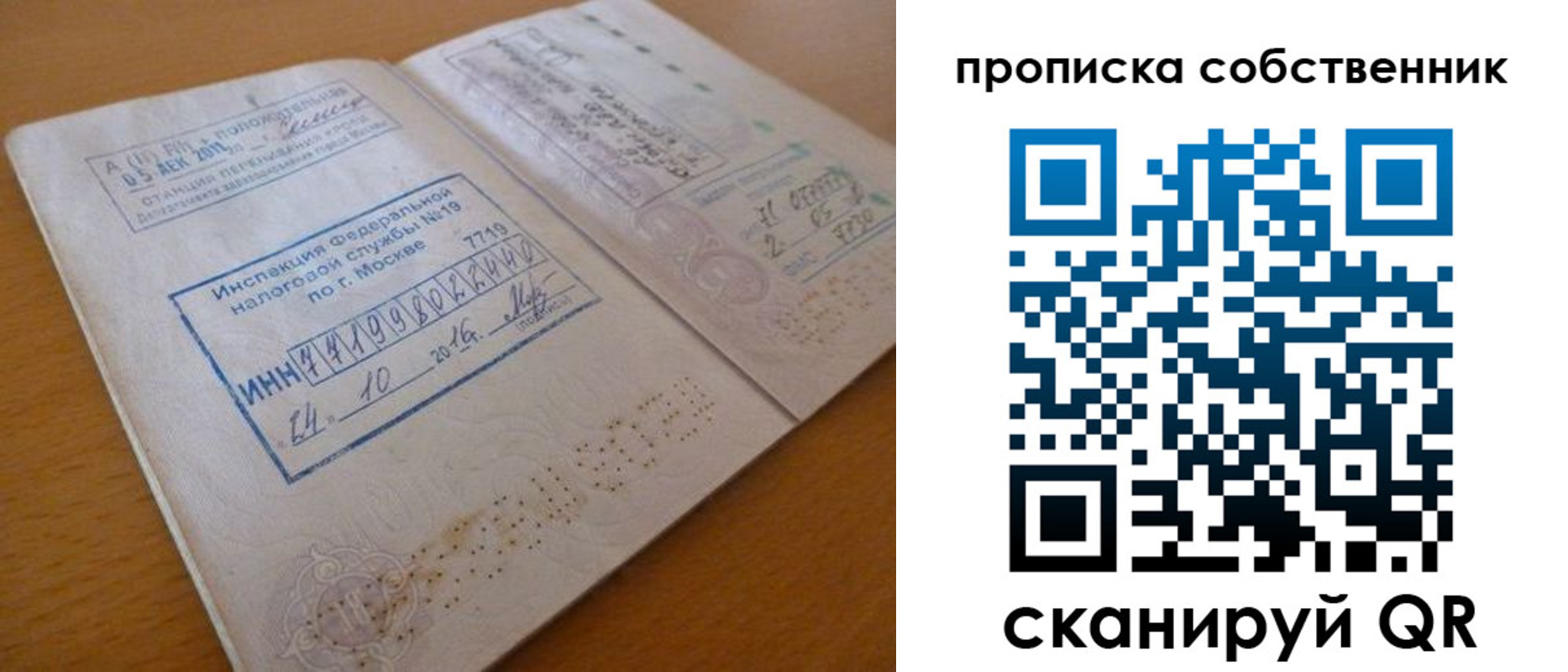 прописка для школы в Кольчугино